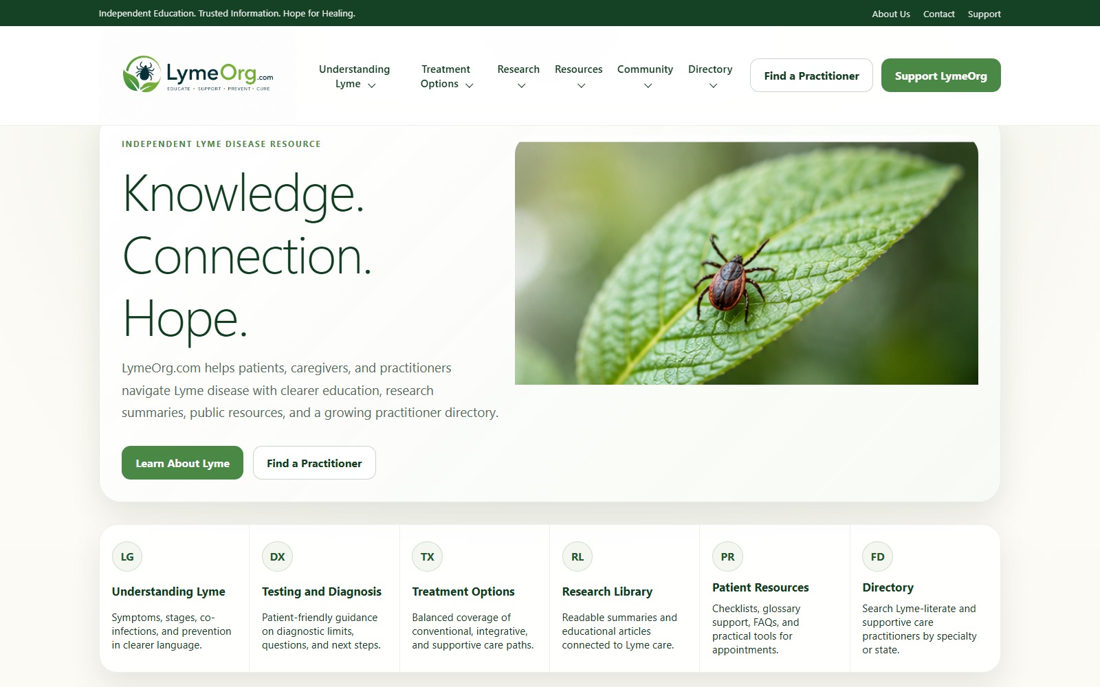 Homepage of lymeorg.com